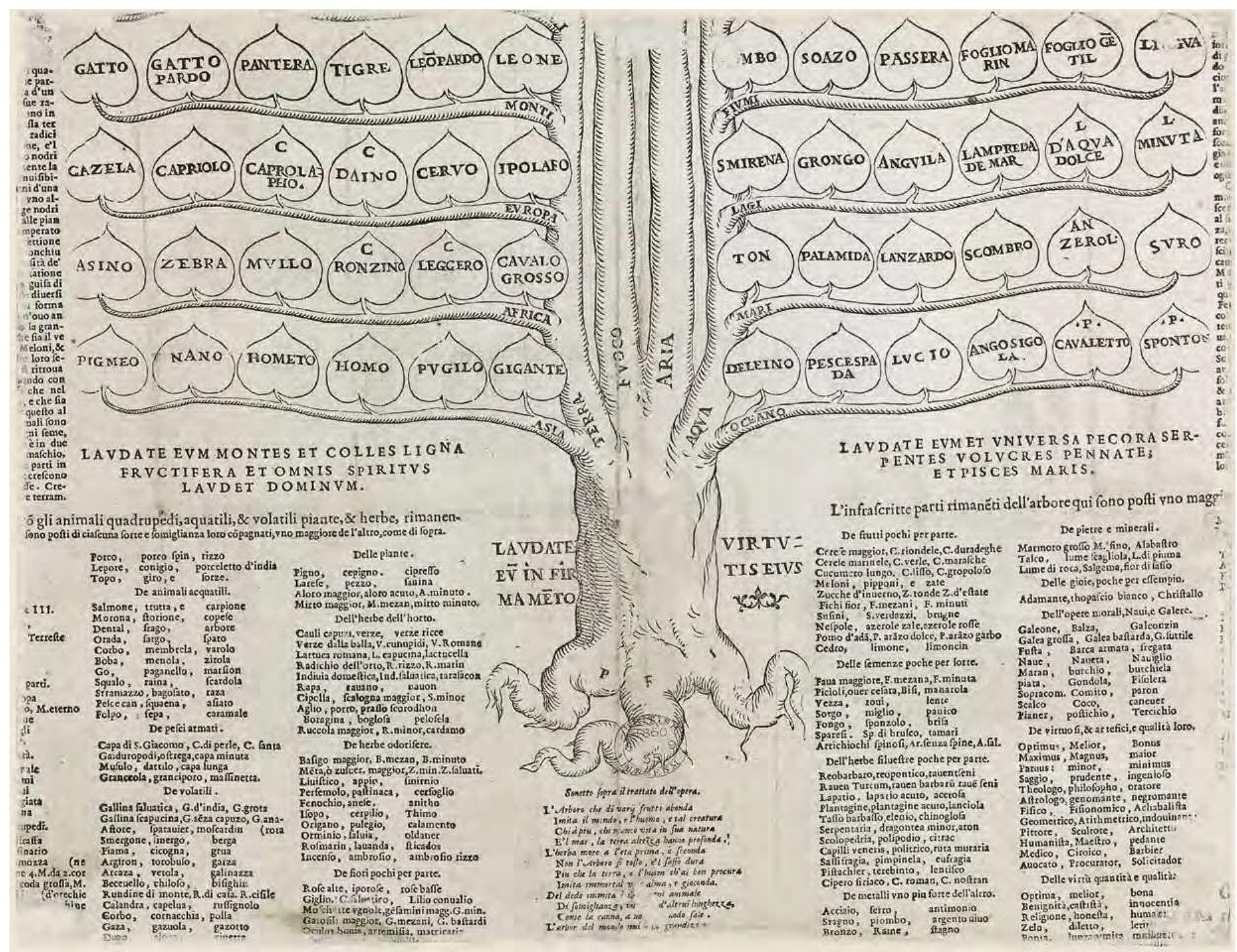 Historischer Stich, der Tiere und Elemente der Welt entlang der Zweige eines Baums ordnet